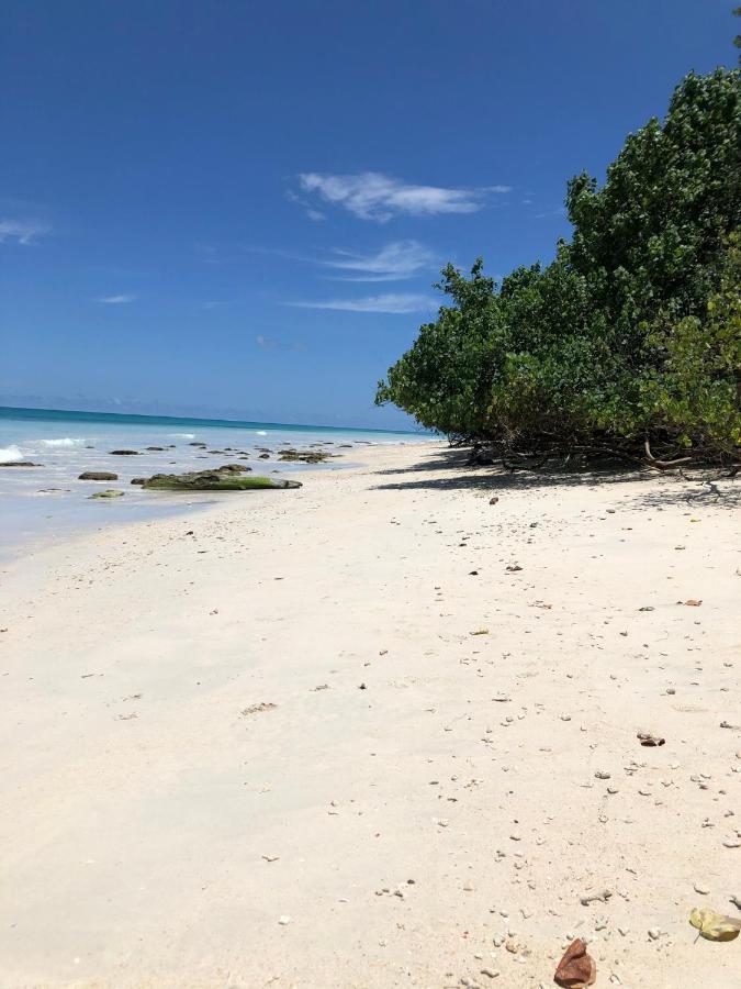 Govind Nagar Tilar Siro Andamans - A Cgh Earth Experience酒店 外观 照片