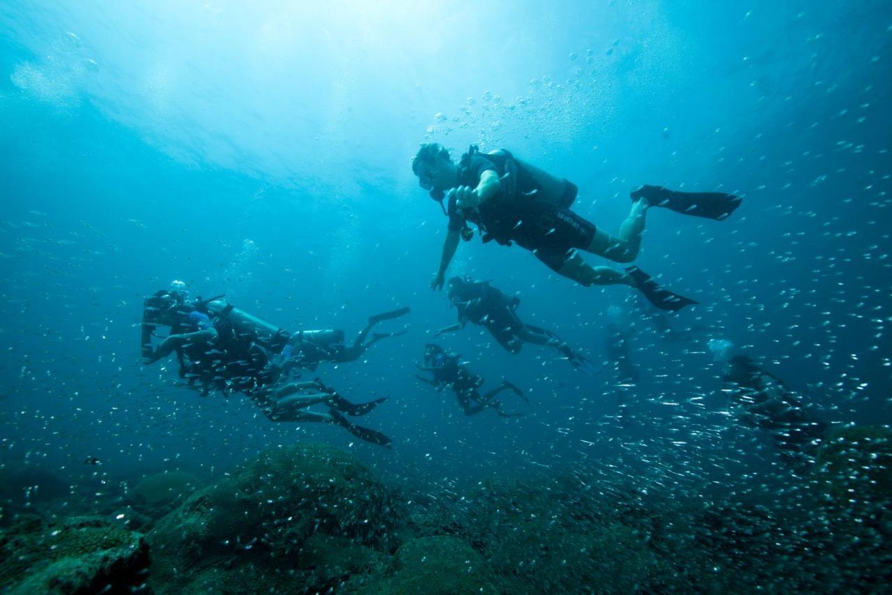 Govind Nagar Tilar Siro Andamans - A Cgh Earth Experience酒店 外观 照片