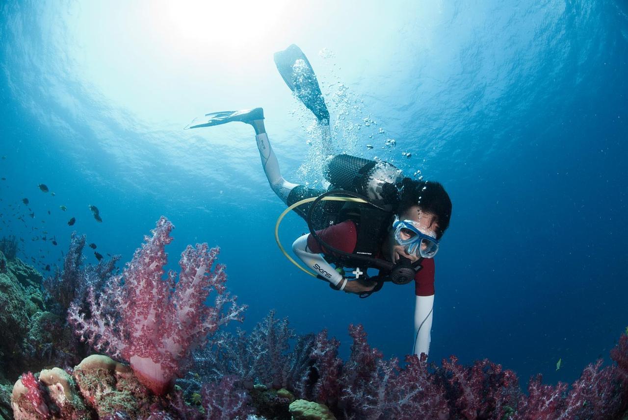 Govind Nagar Tilar Siro Andamans - A Cgh Earth Experience酒店 外观 照片