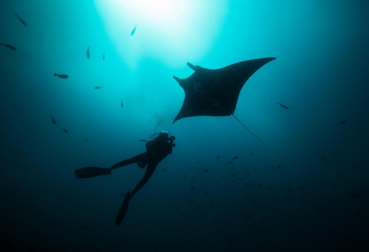 Govind Nagar Tilar Siro Andamans - A Cgh Earth Experience酒店 外观 照片